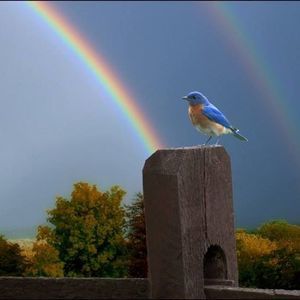 Meet your Posher, Sandi